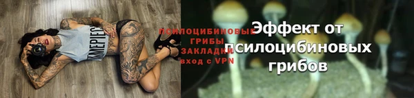 каннабис Белокуриха