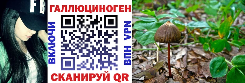 Галлюциногенные грибы Psilocybine cubensis  Вытегра 
