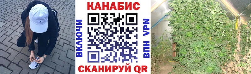Конопля семена  Вытегра 
